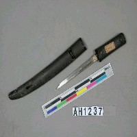 藏品(日本刀劍)的圖片